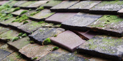 Crwbin roof repair costs